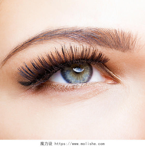 女性的眼睛与长长的睫毛特写眼部整形眉毛纹绣美容睫毛